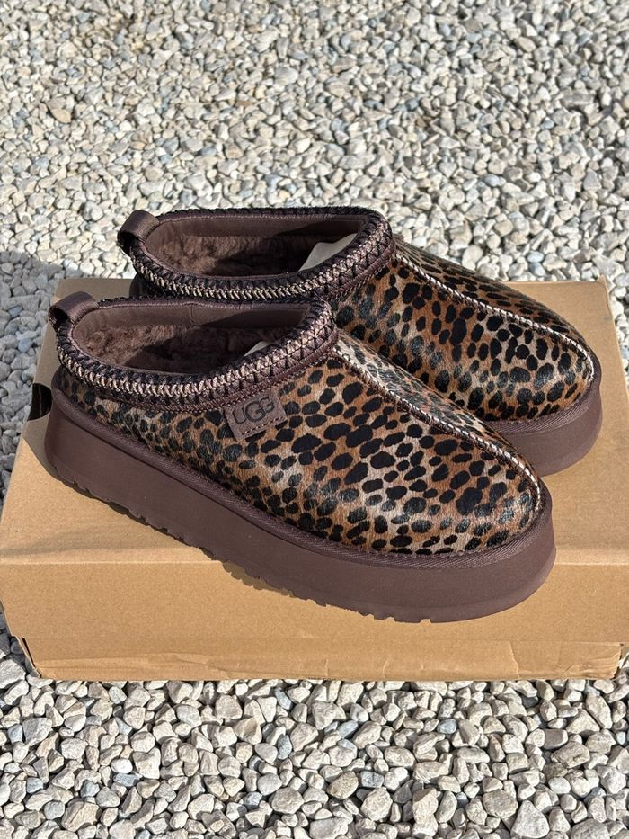 Ugg tazz caspian - photo numéro 6