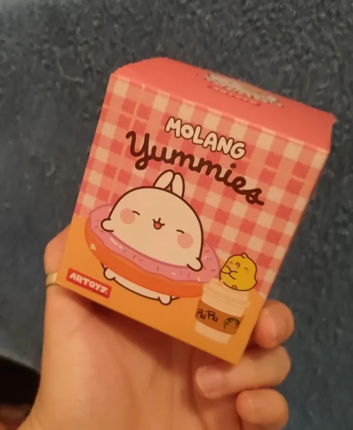 Boîte aveugle/Blindbox Molang Artoyz Yummies