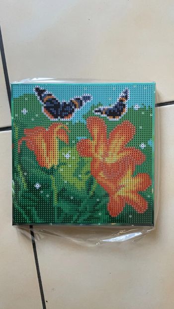 Toile Diamond Painting 20x20x1,5cm n°05