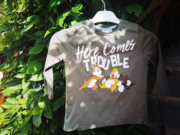 D1244/3 T-shirt garçon 2 ans