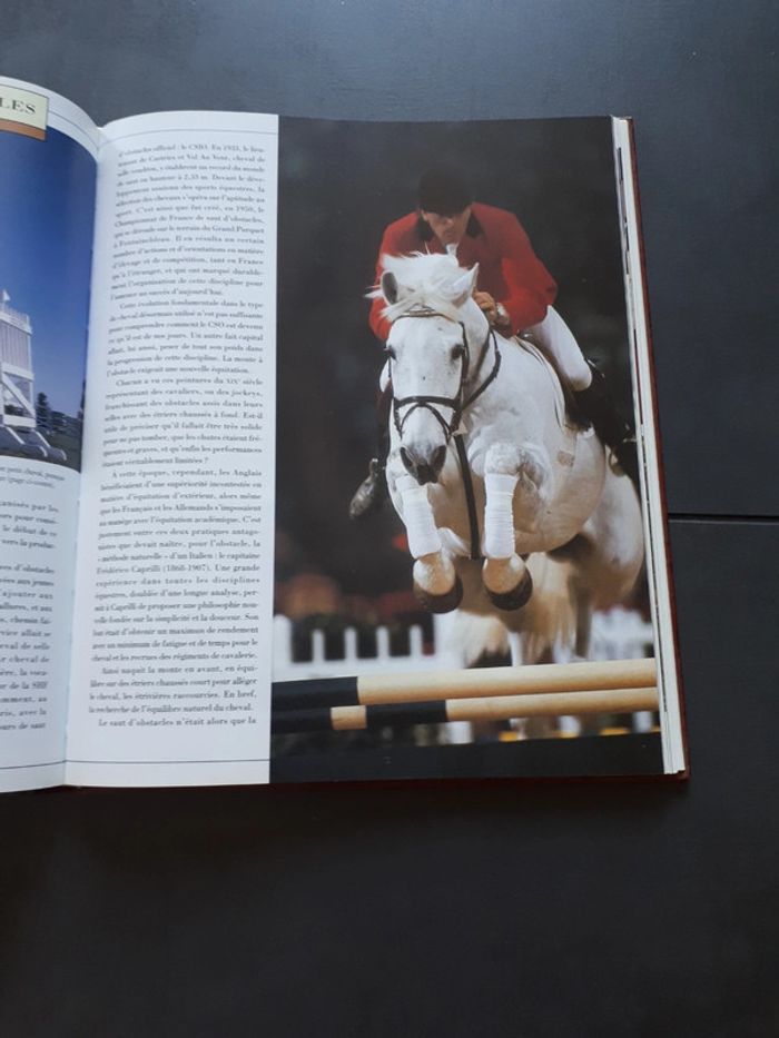Très beau livre le grand livre des chevaux - photo numéro 14