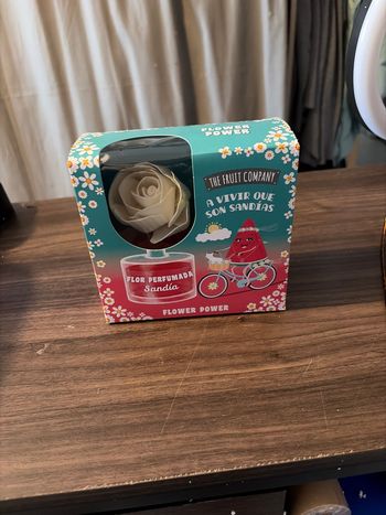 Mikado d’ambiance pastèque