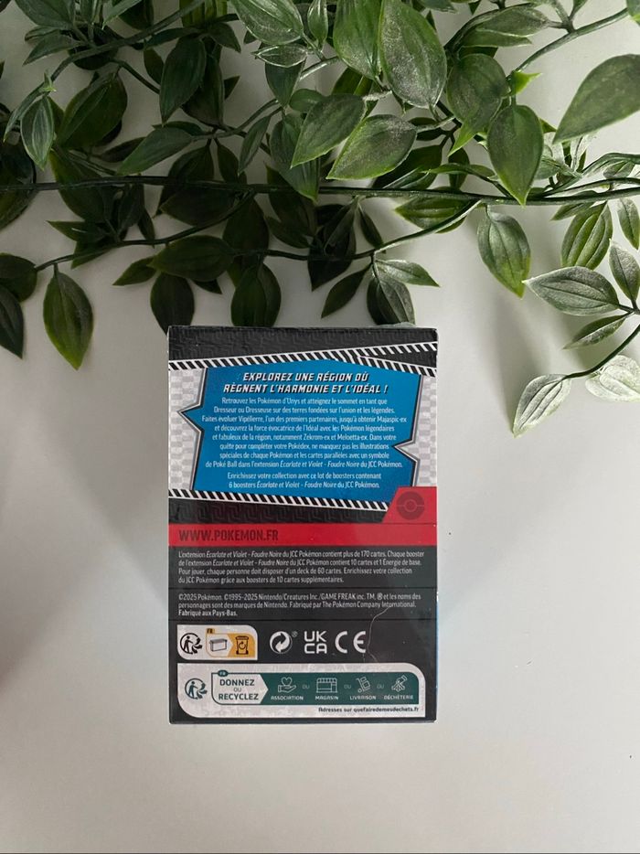 Bundle ev10.5 - photo numéro 3