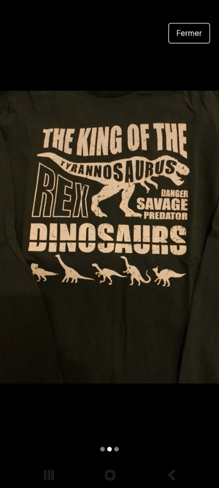 T-shirt manches longues - photo numéro 2