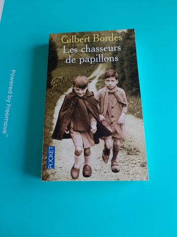 Livre les chasseurs de papillons