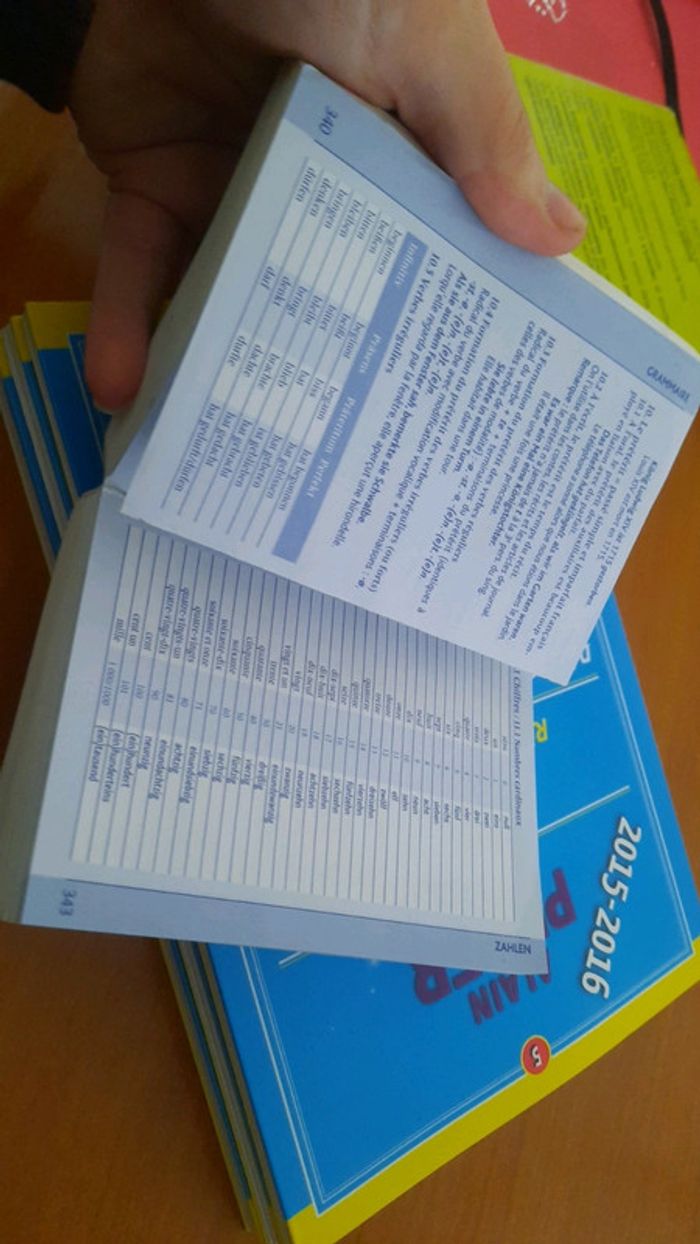 Lot 5 livre annales bac es l et dico allemand - photo numéro 10