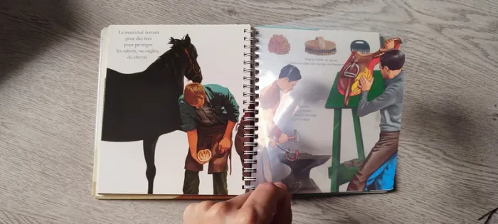 Livre enfant Le cheval - photo numéro 3