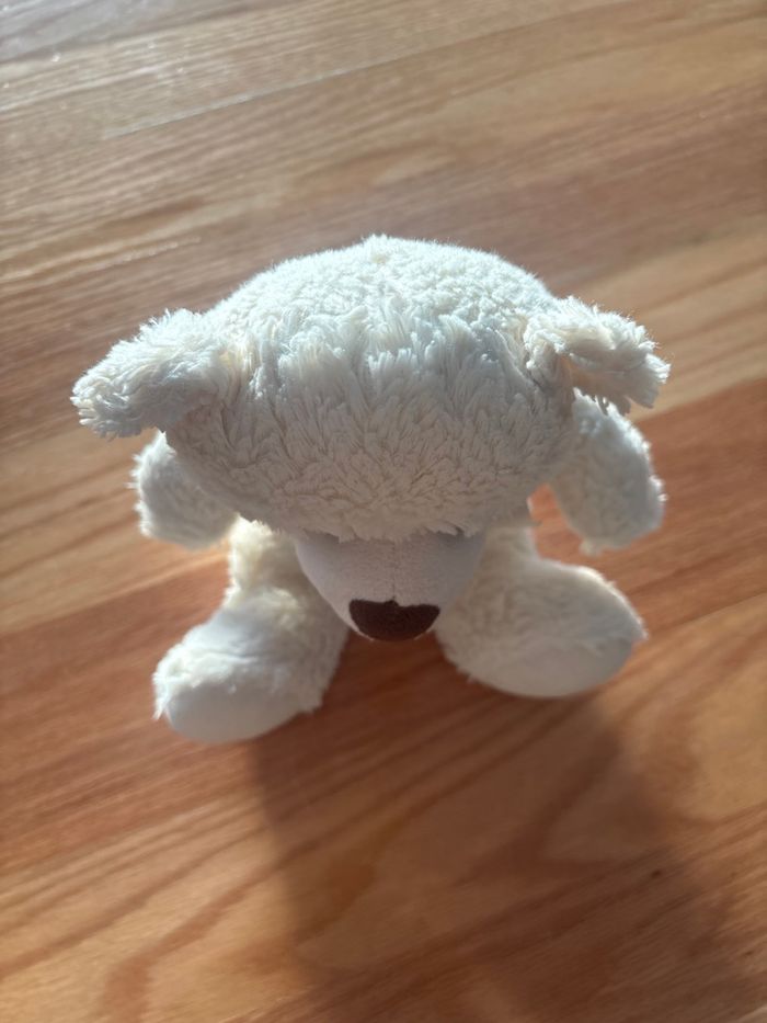 Ours en peluche - photo numéro 5