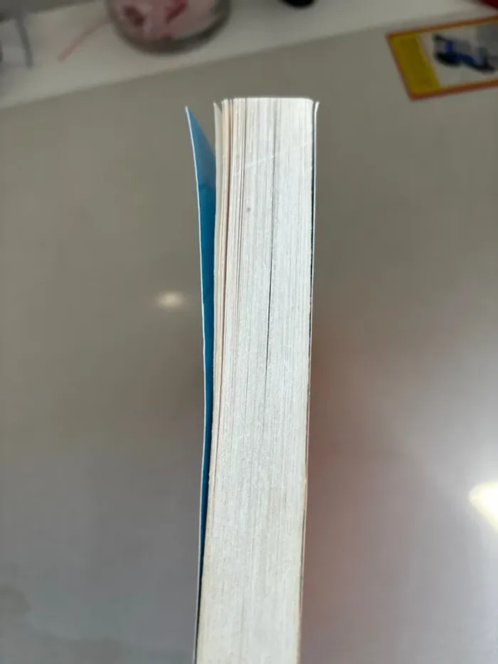 Livre les aventures d’un copain formidable - photo numéro 4