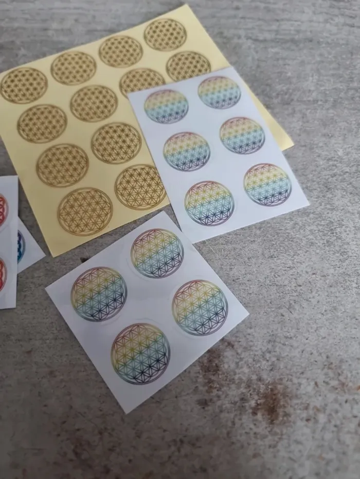 Lot de fleurs de vie - photo numéro 6