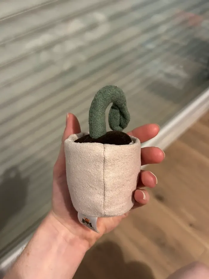 Plante jellycat - photo numéro 2