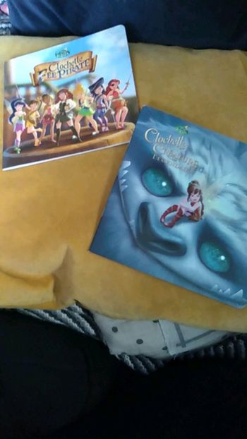 Lot de 2 livres Fée clochette
