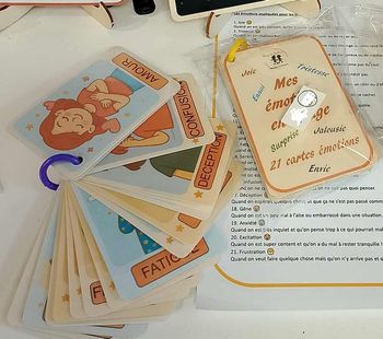 21 cartes émotions 