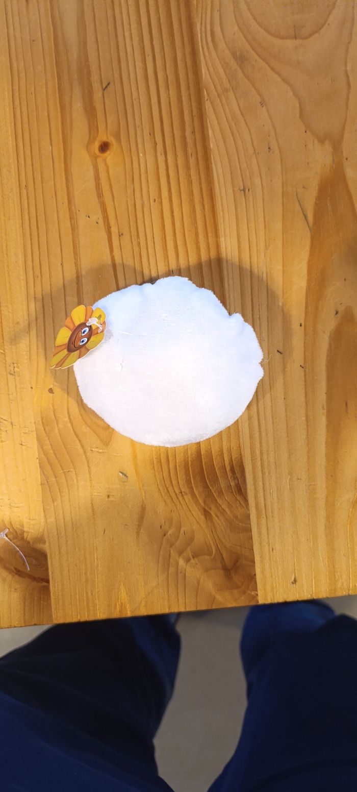 Doudou - photo numéro 7