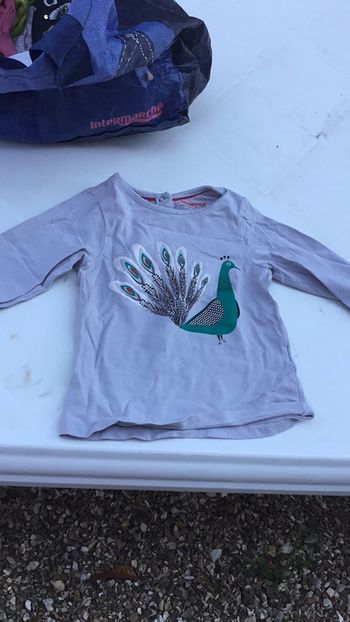 Tee-shirt manche longue taille 23 mois