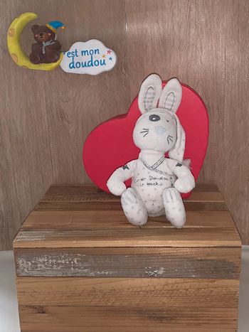 TAO31 doudou lapin 🐰 tao