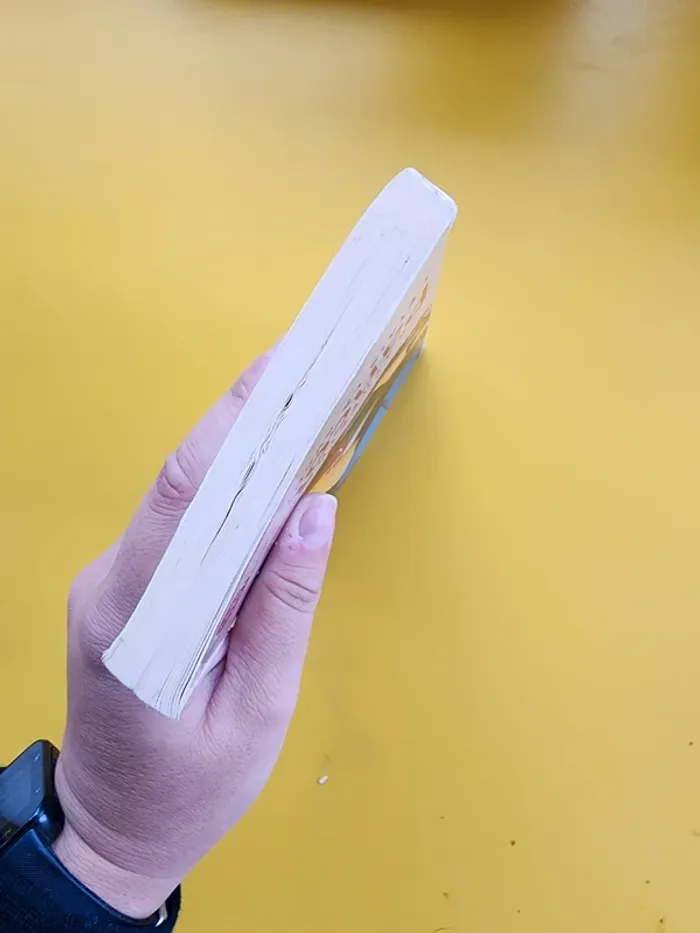 Livre de poche "j'étais là avant" de Katherine Pancol - photo numéro 6