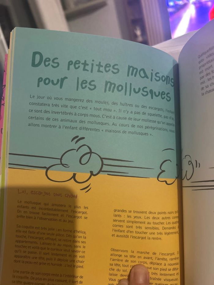 Livre pour mamie - photo numéro 17