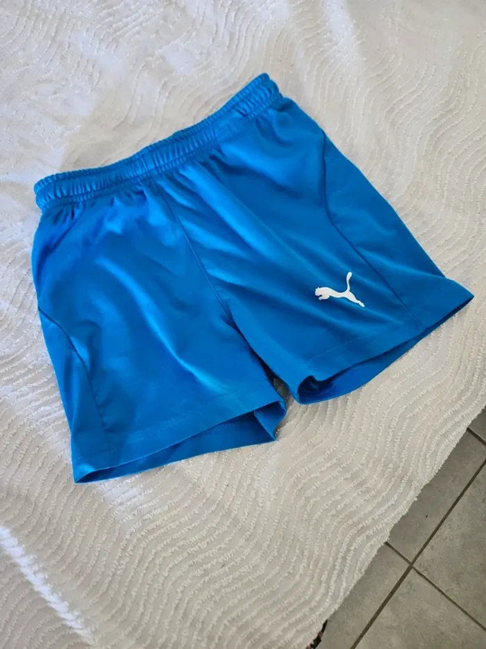 Short puma