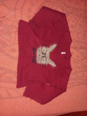 Pull 24 mois bordeaux lapin a lunettes jusqu'à 3 ans
