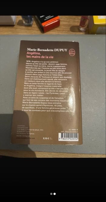 Livre Angelina, les mains de la vie - Marie-Bernadette DUPUY