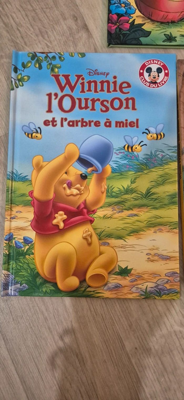 Lot de 3 livres - Winnie l'ourson - photo numéro 2