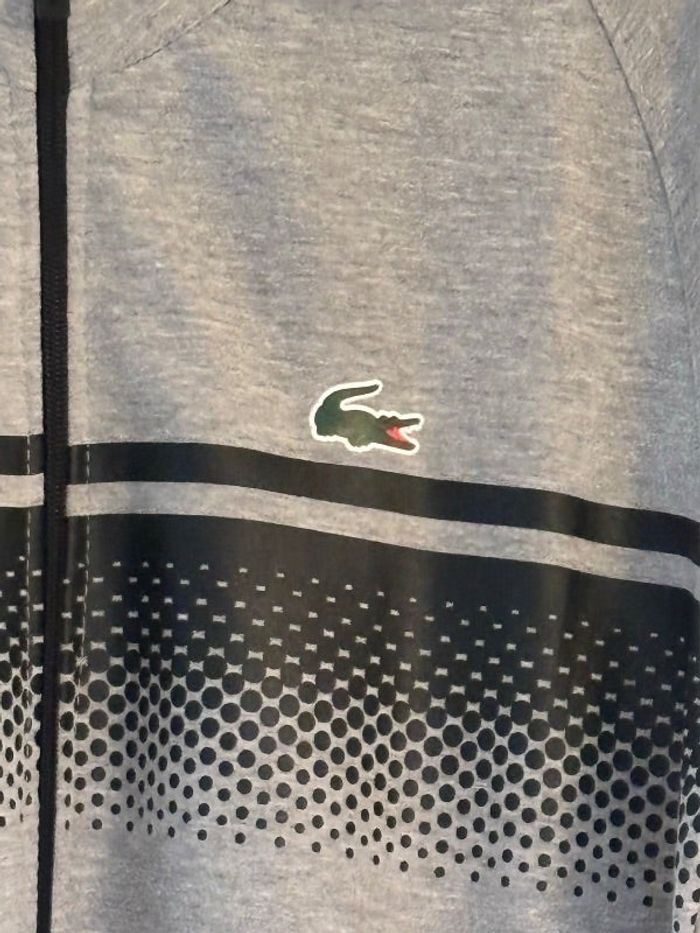 Jogging neuf crocodile taille L