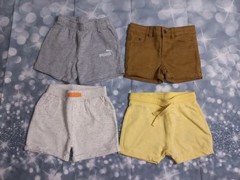 Lot 4 short