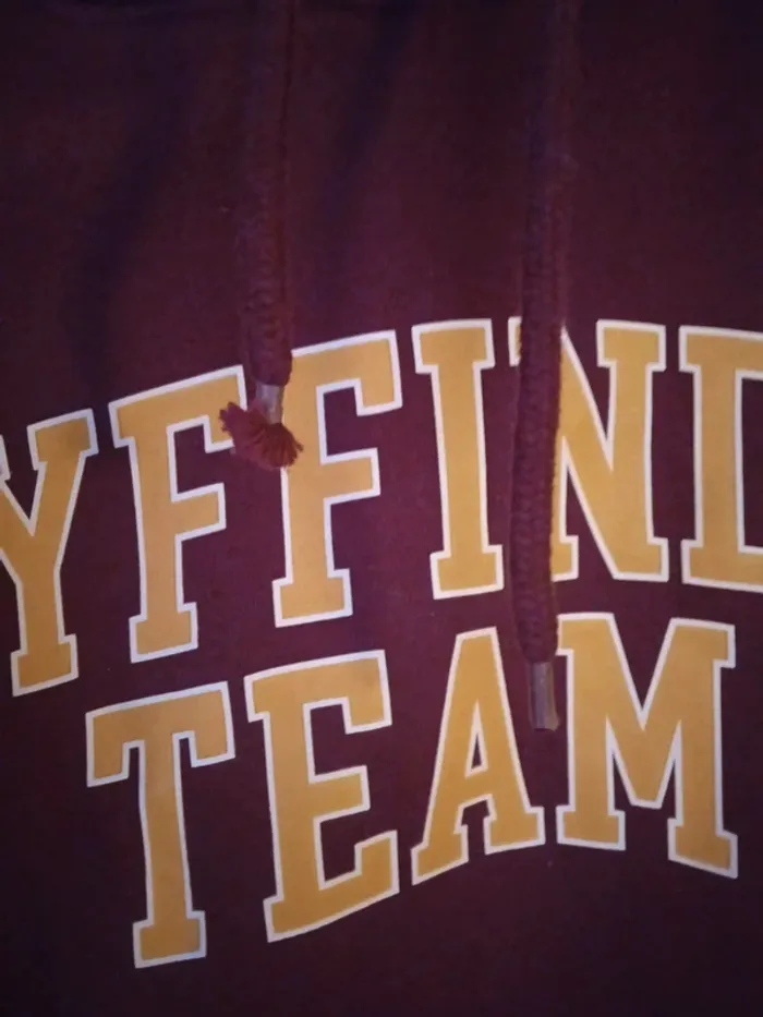Pull Harry Potter Gryffindor team - photo numéro 14