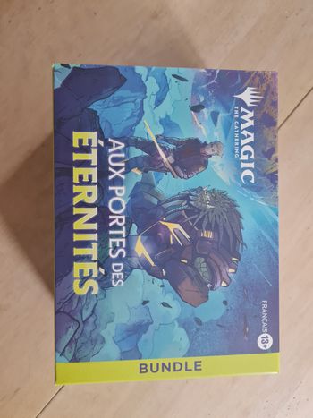 Mtg Bundle Aux Portrs De L'Eternitee en Français
