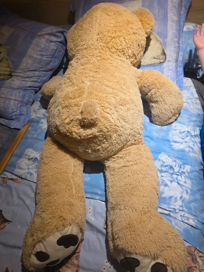 Nounours XXL - photo numéro 3
