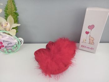 Paire de mules rouge à plumes 21