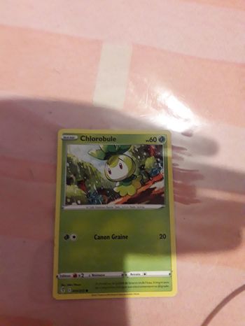 Carte pokemon