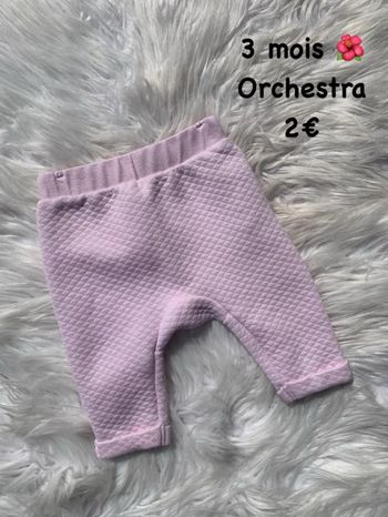 Sarouel 🌺 3 mois 🌺 Orchestra