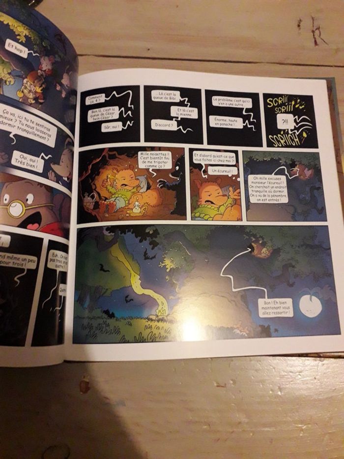 Livre petit bois - photo numéro 2