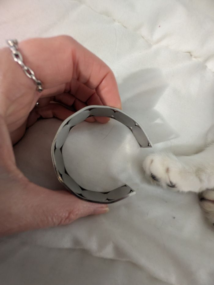 Bracelet acier inoxydable - photo numéro 3