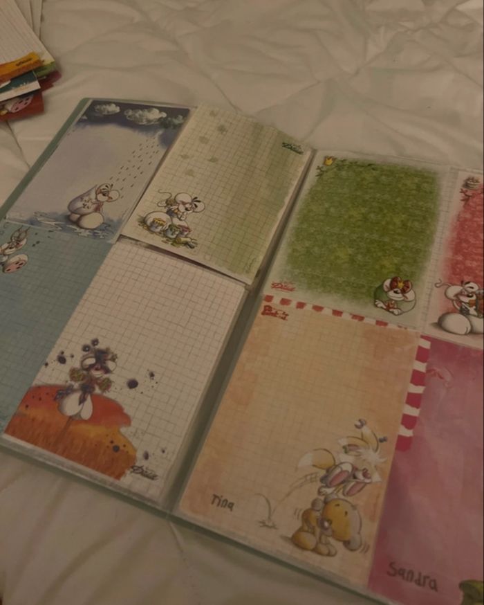 Porte-vue 100 feuilles Diddl 🐭💚 - photo numéro 6