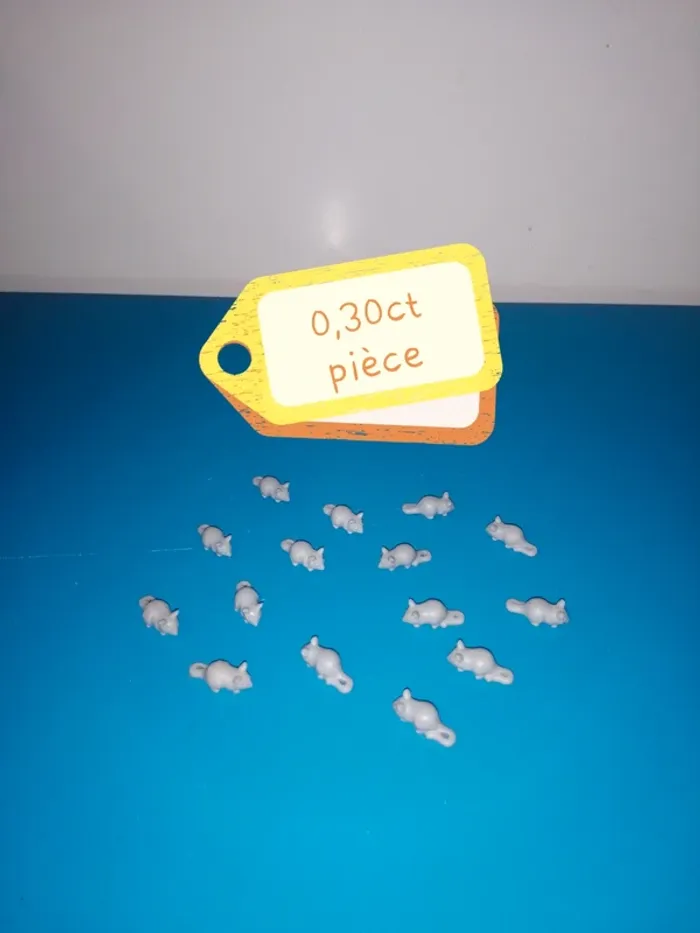 Thème* animaux rongeur / hamster - lapin - souris - écureuil - photo numéro 5