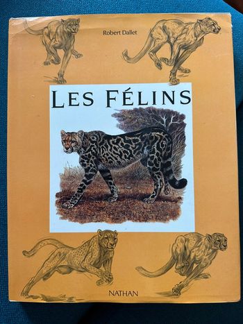 Livre Les Félins Robert Dallet Nathan rares illustrations tigre lion panthère léopard album