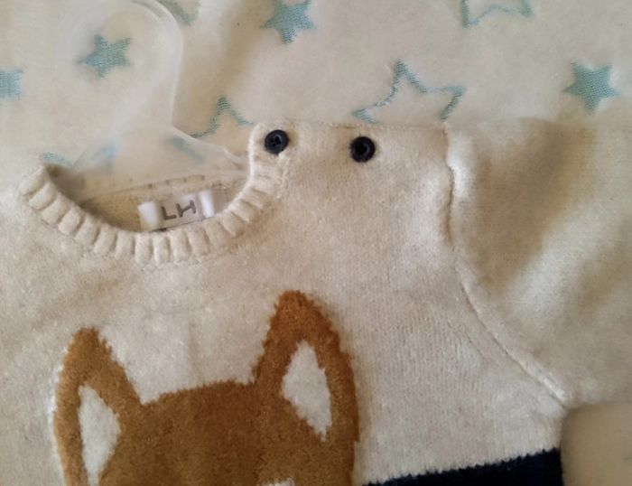 Pull LH 12 mois – Neuf avec étiquette - photo numéro 5