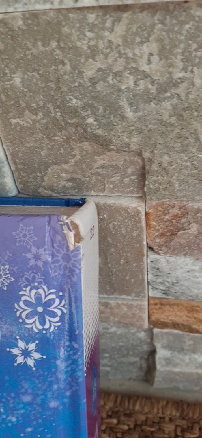 Lot de 2 livres Reine des neiges et CD - photo numéro 4