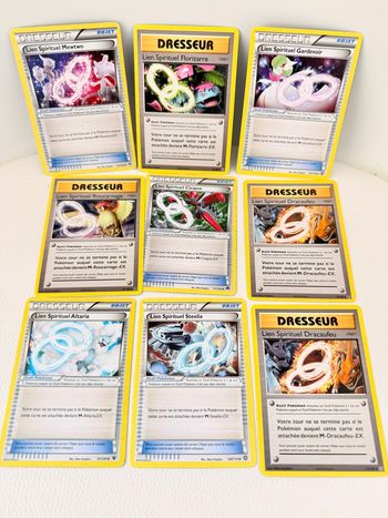 Lot dresseur Pokémon XY10 XY12