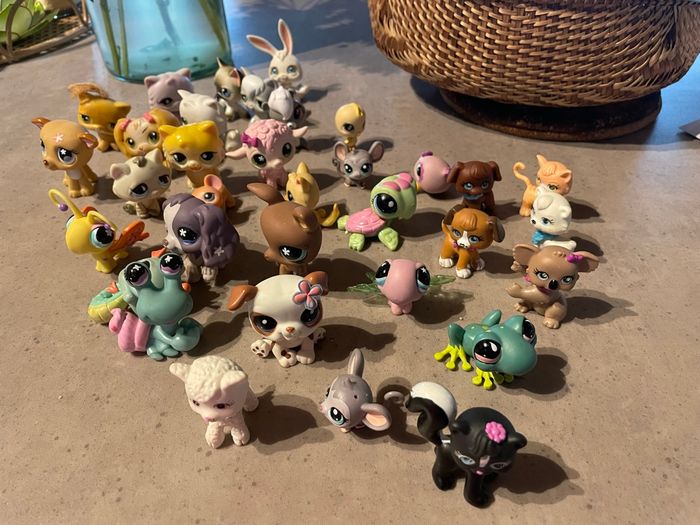 Lot de pet shop