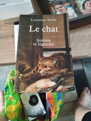 Le chat de Laurence Bobis