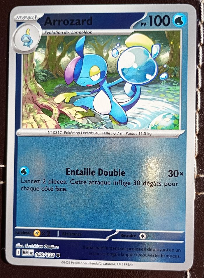 Lot de 30 cartes Pokémon MÉGA-ÉVOLUTUON  EX/REV/HOLO/RARE/CO. Sans doubles 🇫🇷 - photo numéro 9