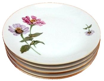 6 assiettes plates  Porcelaine fine de Bohème décor floral