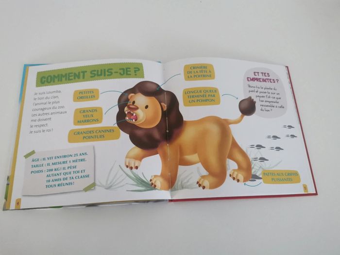 Livre Loumba le lion Mes animaux du zoo - photo numéro 4
