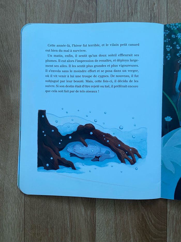 Livre le vilain petit canard - photo numéro 5