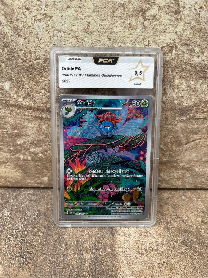 Ortide OBF 193 PCA 9,5