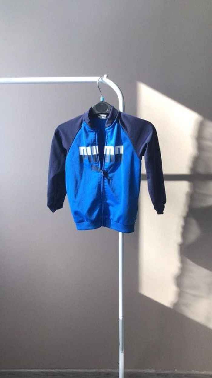 Ensemble Puma